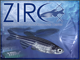 Resource Center Collage